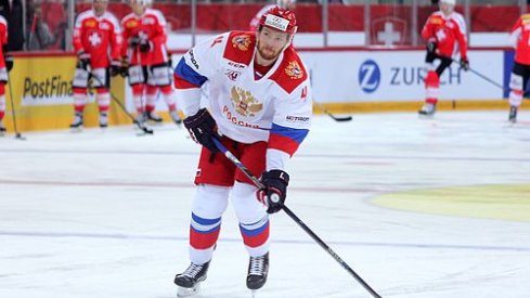 Vladislav Gavrikov