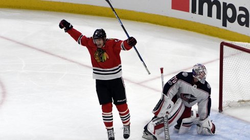 Richard Panik celebrates a goal