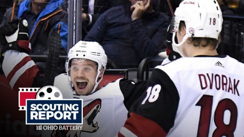 Arizona Coyotes forwards Max Domi and Christian Dvorak celebrate a goal