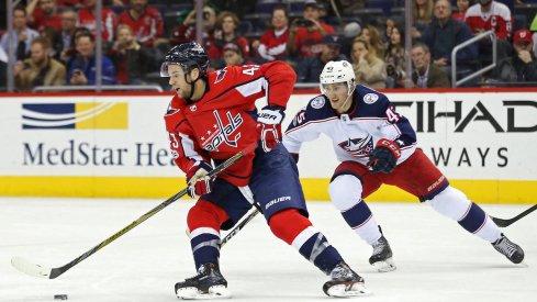 Capitals forward Tom Wilson