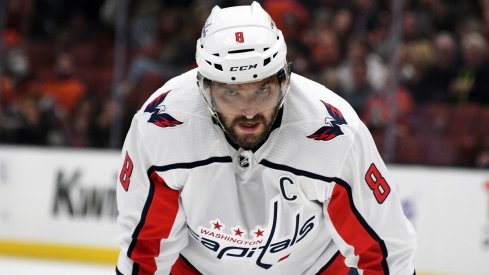 Washington Capitals captain Alexander Ovechkin