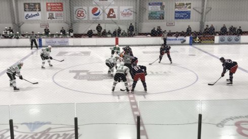 Blue Jackets players wait for the puck to drop at Traverse City.