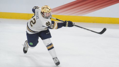 Apr 7, 2018; St. Paul, MN, USA; Notre Dame defenseman Andrew Peeke (22) takes a shot during the second period against the Minnesota Duluth Bulldogs in the 2018 Frozen Four college hockey national championship game at Xcel Energy Center. Mandatory Credit: Marilyn Indahl-USA TODAY Sports