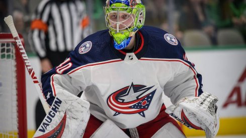 Columbus Blue Jackets goalie Daniil Tarasov looks on against the Dallas Stars at American Airlines Center in Dallas, Texas.