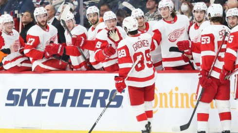 Winners of two straight, the Detroit Red Wings host the Columbus Blue Jackets on Saturday night.