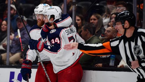 Columbus Blue Jackets center Cole Sillinger celebrates with right wing Jakub Voracek his goal scored against the Anaheim Ducks during the third period at Honda Center.