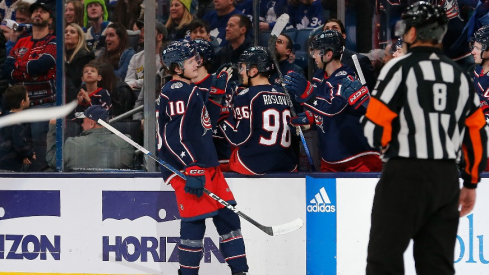 Columbus Blue Jackets left wing Dmitri Voronkov (10) celebrates his goal against the Toronto Maple Leafs during the second period at Nationwide Arena.