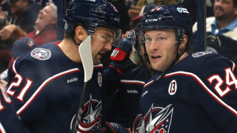 Columbus Blue Jackets center Mathieu Olivier (24) celebrates his goal against the Edmonton Oilers during the second period at Nationwide Arena.