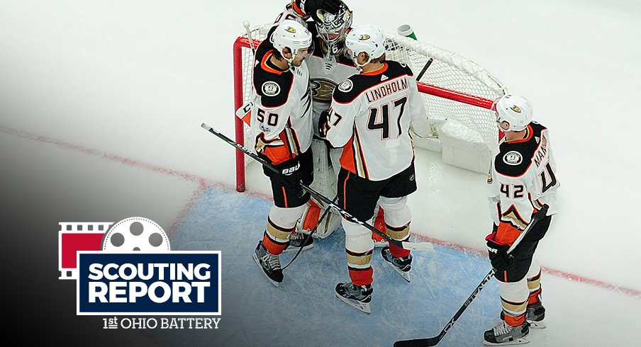 The Anaheim Ducks celebrate a win over the St. Louis Blues