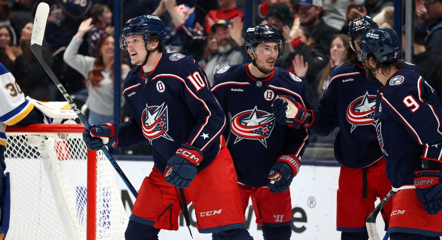 Columbus Blue Jackets left wing Dmitri Voronkov (10) celebrates after scoring a goal against the St. Louis Blues during the first period at Nationwide Arena.